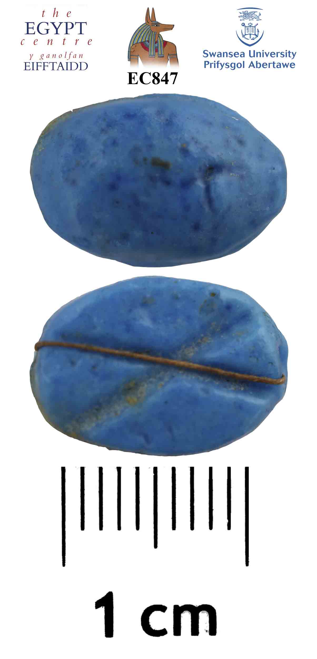 Image for: Faience scarab